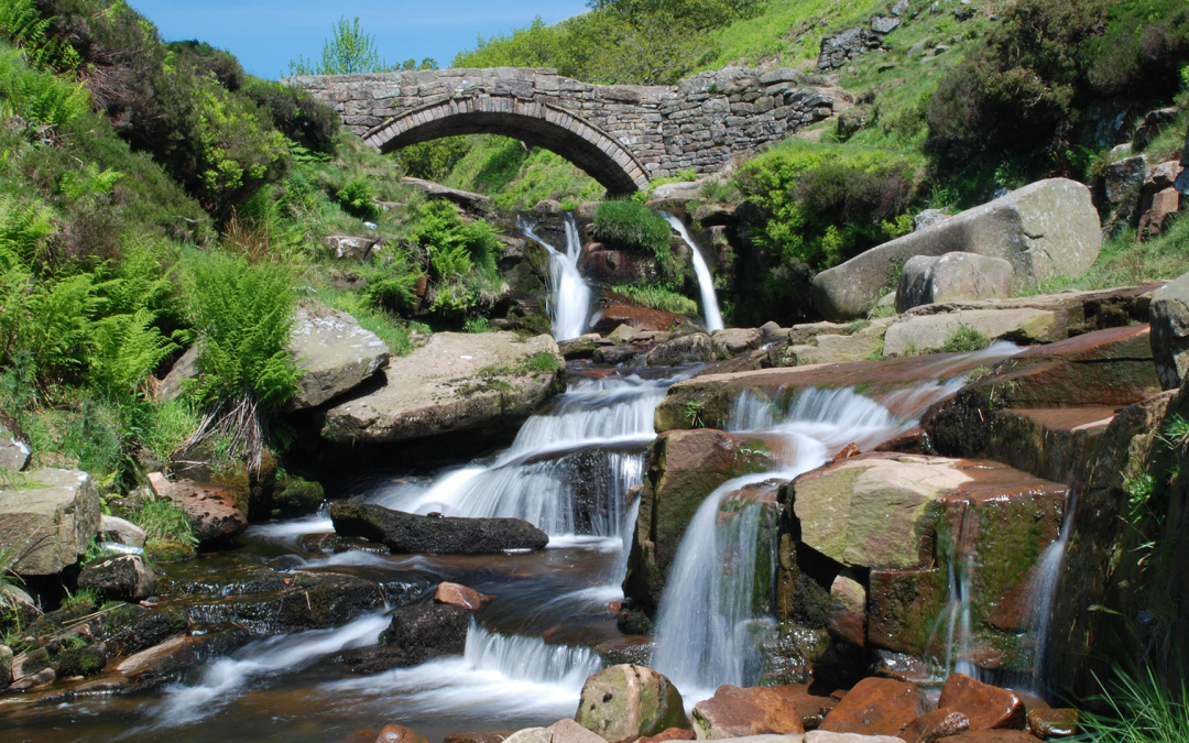 River Dane